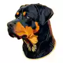 Loyal Guardian in Autumn Light  screen for extension Chrome web store in OffiDocs Chromium