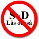 Läs också raderaren  screen for extension Chrome web store in OffiDocs Chromium