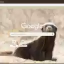 Lung  screen for extension Chrome web store in OffiDocs Chromium