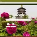 Luoyang Peony Festival  screen for extension Chrome web store in OffiDocs Chromium
