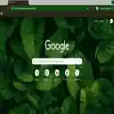 Lush Foliage  screen for extension Chrome web store in OffiDocs Chromium