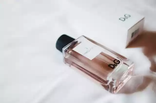 Free download luxury lifestyle things still life free picture to be edited with GIMP free online image editor
