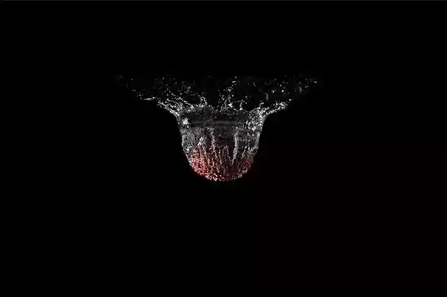 Free download Lychee Fruit Water -  free photo or picture to be edited with GIMP online image editor