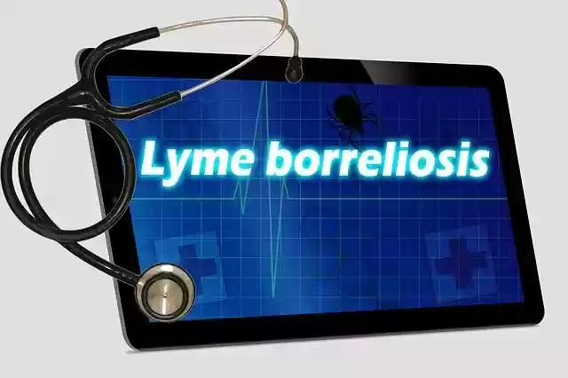 Free download Lyme Disease Tick Bite -  free illustration to be edited with GIMP online image editor