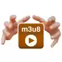 m3u8 Grabber  screen for extension Chrome web store in OffiDocs Chromium