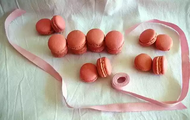 Free download Macaron Pink Rosa -  free free photo or picture to be edited with GIMP online image editor