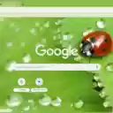 Macro Ladybug on Leaf  screen for extension Chrome web store in OffiDocs Chromium