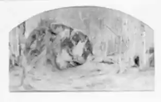 Free download Madison Boulder, Conway, New Hampshire free photo or picture to be edited with GIMP online image editor