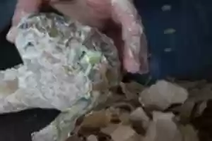 Free download Magic Means HWOS 01 008 free photo or picture to be edited with GIMP online image editor