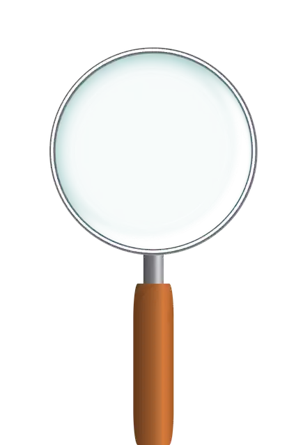 Free download Magnifier Magnifying Glass - Free vector graphic on Pixabay free illustration to be edited with GIMP free online image editor