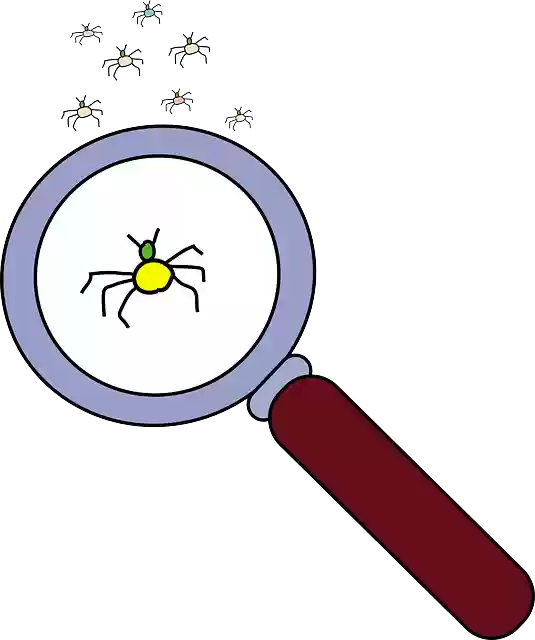 Free download Magnifying Glass Lens Bug - Free vector graphic on Pixabay free illustration to be edited with GIMP free online image editor