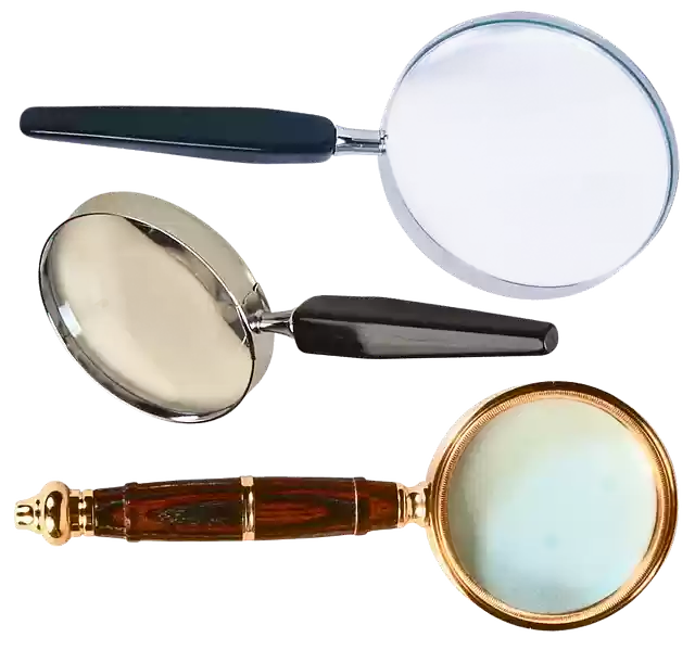 Free download Magnifying Glass Magnifier To -  free illustration to be edited with GIMP free online image editor