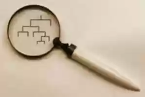 Free download Magnifying Glass With Dark Tree Copy free photo or picture to be edited with GIMP online image editor