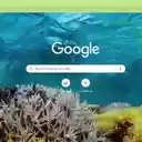 Magnum 4D Theme  screen for extension Chrome web store in OffiDocs Chromium