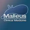 Malleus Extension  screen for extension Chrome web store in OffiDocs Chromium