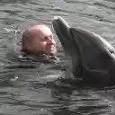 Man and dolphin  screen for extension Chrome web store in OffiDocs Chromium