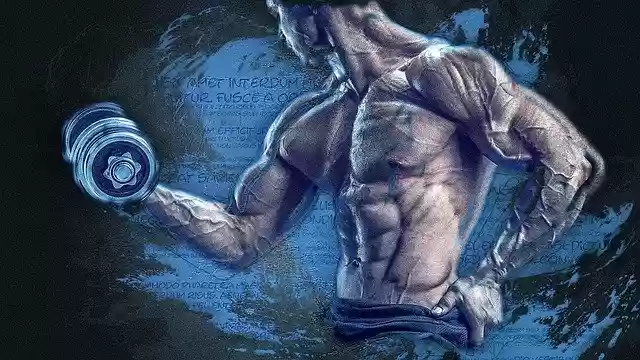 Free download Man Athlete Fitness -  free illustration to be edited with GIMP free online image editor