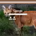Maned Wolf  screen for extension Chrome web store in OffiDocs Chromium