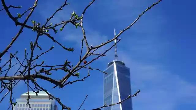 Free download manhattan wtc usa architecture nyc free picture to be edited with GIMP free online image editor