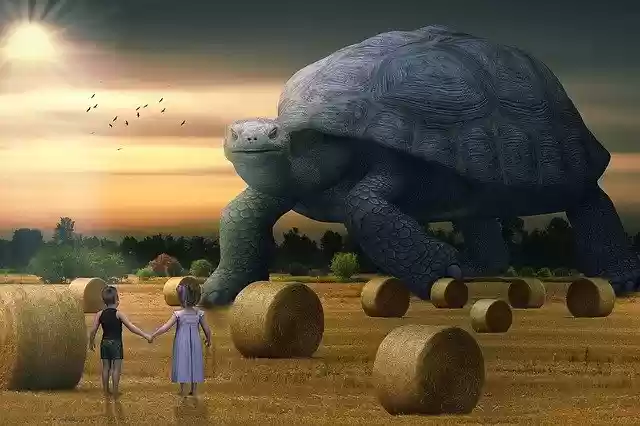 Скачать бесплатно Manipulation Landscape Hay Bales - бесплатное фото или изображение для редактирования с помощью онлайн-редактора GIMP