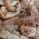 Mantis shrimp  screen for extension Chrome web store in OffiDocs Chromium