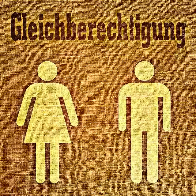 Free download Man Woman Equality -  free illustration to be edited with GIMP free online image editor