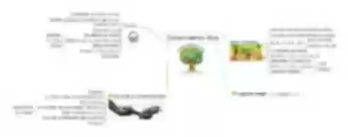 Free download Mapa Mental Ivonne Camargo free photo or picture to be edited with GIMP online image editor