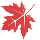 Maple NewTab  screen for extension Chrome web store in OffiDocs Chromium