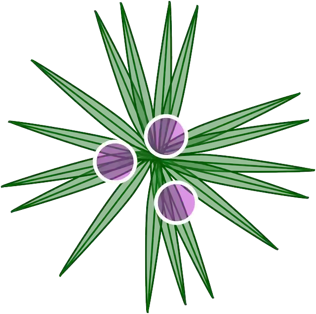 Free download Map Symbols Signs - Free vector graphic on Pixabay free illustration to be edited with GIMP free online image editor