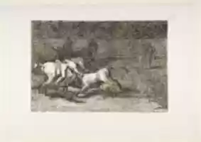 Free download Mariano Ceballos, Alias the Indian, Kills the Bull from His Horse (Mariano Ceballos, alias el Indio, mata el toro desde su caballo) free photo or picture to be edited with GIMP online image editor