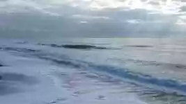Free download Marine Ocean Water free video to be edited with OpenShot online video editor