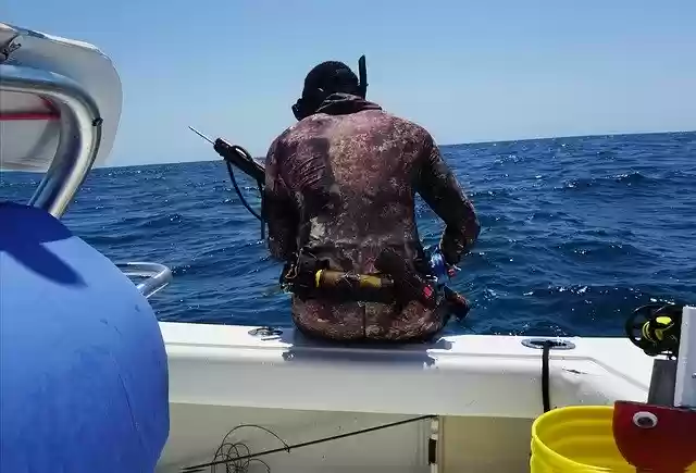 Free download Marine Recon Spearfish -  free photo or picture to be edited with GIMP online image editor
