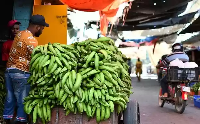 Free download market fruits food vegetables free picture to be edited with GIMP free online image editor