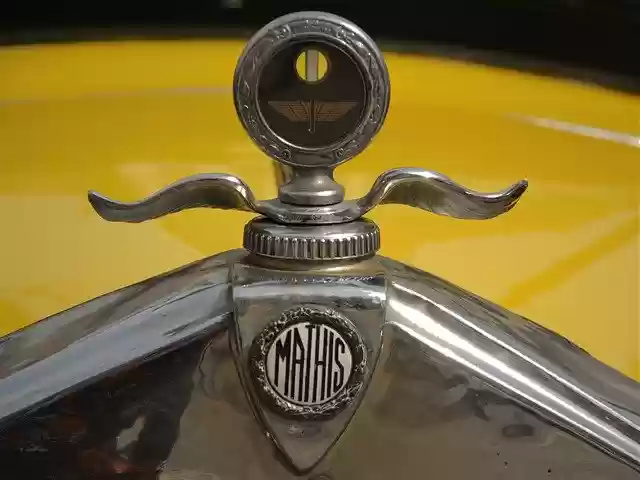 Free download Mark Mathis Model -  free free photo or picture to be edited with GIMP online image editor