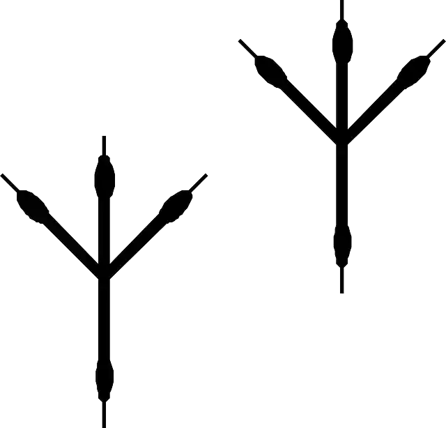 Free download Marks Bird Footprints - Free vector graphic on Pixabay free illustration to be edited with GIMP free online image editor