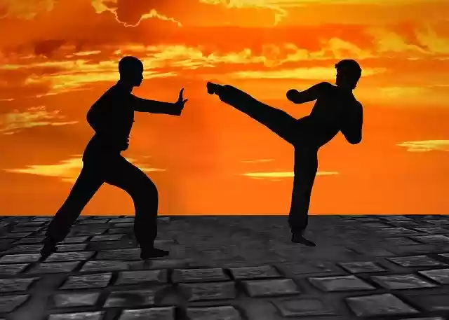 Free download martial arts silhuettes muay thai free picture to be edited with GIMP free online image editor