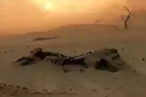 Free download Mass Extinctions of Prehistoric Ages free photo or picture to be edited with GIMP online image editor