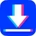 Mass Tiktok Video Downloader  screen for extension Chrome web store in OffiDocs Chromium