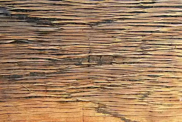 Free download Mat Reed Background -  free photo or picture to be edited with GIMP online image editor