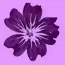 Mauve Plugin Validator  screen for extension Chrome web store in OffiDocs Chromium