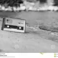 Free download May 28th 2021 free photo or picture to be edited with GIMP online image editor