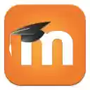 Maynooth University Moodle Login Plugin  screen for extension Chrome web store in OffiDocs Chromium