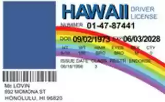 Free download McLovin License .SVG free photo or picture to be edited with GIMP online image editor