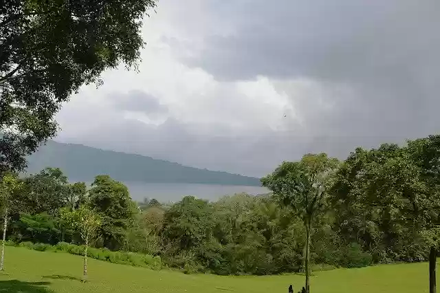 Free download Meadow Daylight Nature -  free photo or picture to be edited with GIMP online image editor