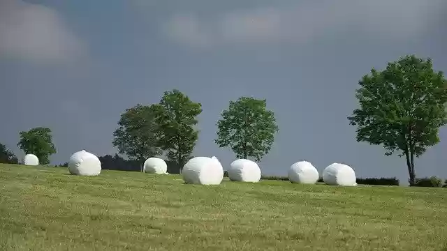 Free download Meadow Hay Bales Bale -  free free photo or picture to be edited with GIMP online image editor