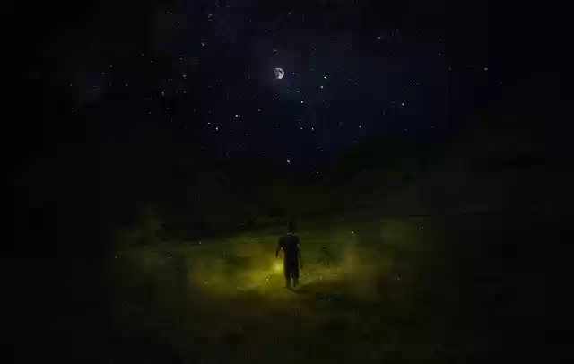 Free download Meadow Night Moon -  free photo or picture to be edited with GIMP online image editor