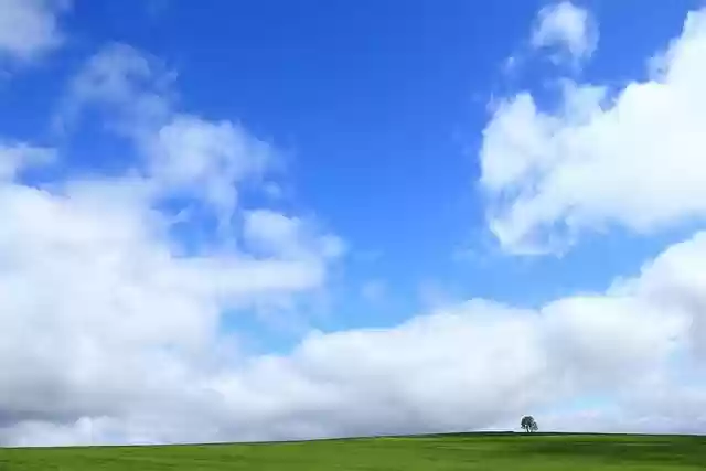 Free download meadow tree sky clouds country free picture to be edited with GIMP free online image editor