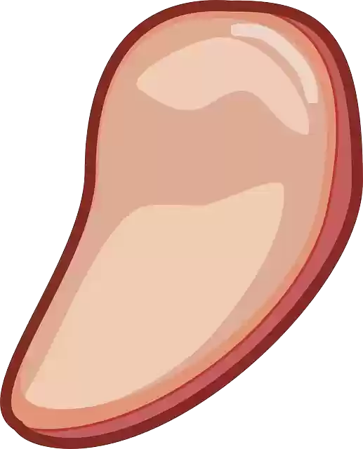 Free download Meat Food - Free vector graphic on Pixabay free illustration to be edited with GIMP free online image editor