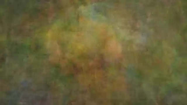 Free download Median Average Parrot -  free illustration to be edited with GIMP free online image editor