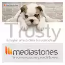 Mediastones  screen for extension Chrome web store in OffiDocs Chromium